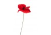 Sticker fleur coquelicot