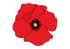 Sticker fleur coquelicot