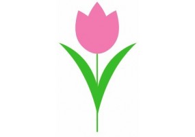 Sticker Fleur Tulipe Rose geante