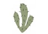 Sticker cactus