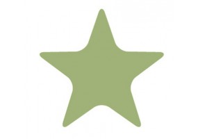 Sticker étoile verte
