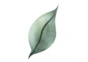 Sticker mural feuille design