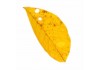 Sticker feuille automne jaune