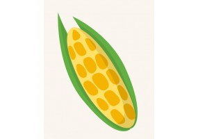 Sticker maïs