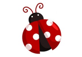 Sticker coccinelle