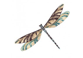 Sticker libellule grande ailes