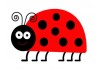 Sticker coccinelle