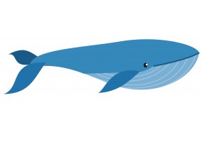 Sticker baleine