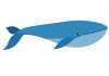 Sticker baleine