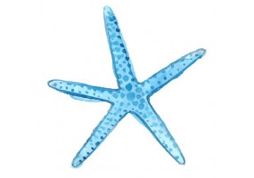 Sticker étoile de mer