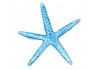 Sticker étoile de mer