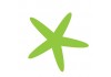 Sticker étoile de mer verte
