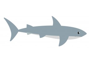 Sticker requin