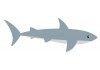 Sticker requin