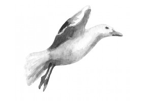 Sticker mural theme mouette