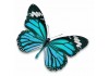 Sticker papillon bleu
