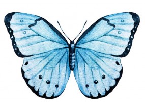 Sticker papillon bleu