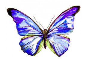 Sticker papillon bleu