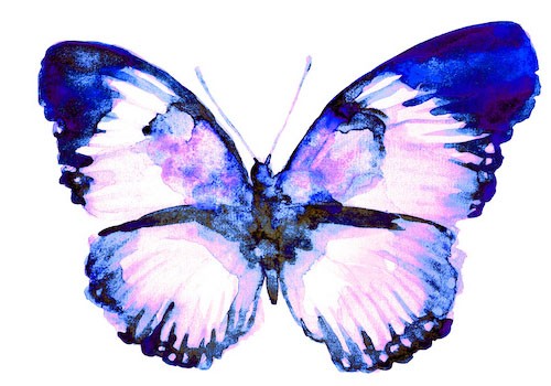 Stickers Deco Papillon Violet
