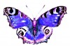 Sticker papillon violet