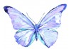 Autocollant papillon bleu clair
