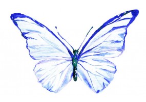 Sticker papillon bleu clair
