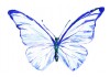 Autocollant mural papillon bleu