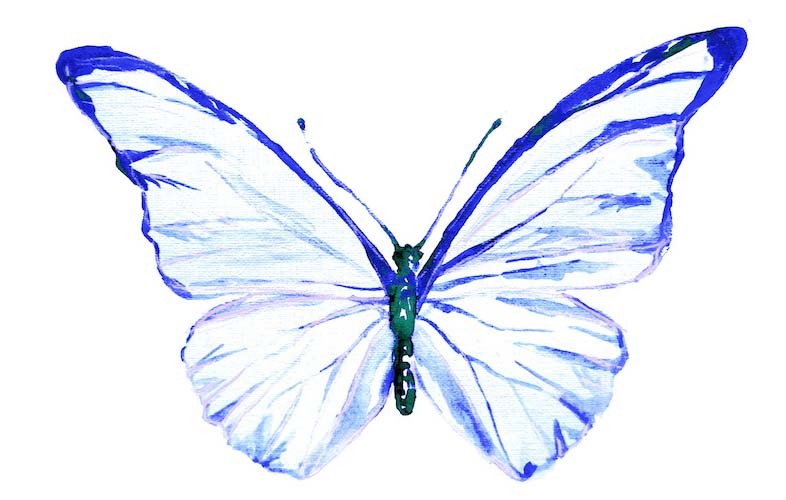 Sticker Papillon - bleu en vol