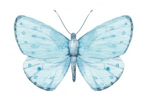 Sticker papillon bleu clair