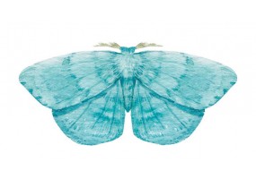 Autocollant mural papillon bleu clair