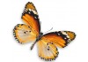 Sticker papillon