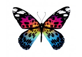 Sticker papillon multicolore