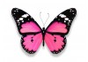 Sticker papillon rose