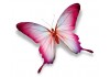 Sticker papillon rose