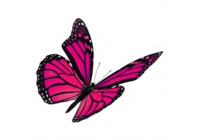 Sticker papillon rose