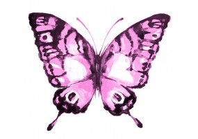 Sticker papillon rose pastel