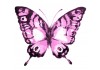 Sticker papillon rose pas cher