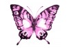 Sticker papillon rose pastel