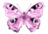 Sticker papillon rose pastel