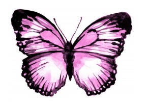 Sticker papillon rose mural
