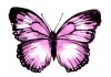 Sticker papillon rose mural