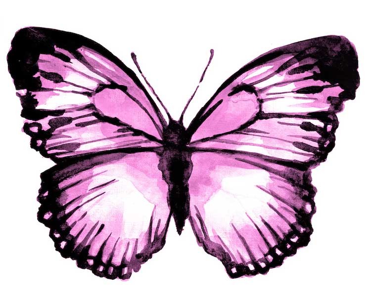 sticker papillon dessin