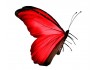 Sticker papillon rouge