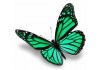 Sticker papillon vert