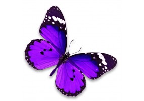 Sticker papillon violet