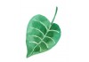 Sticker feuille aquarelle vegetaux