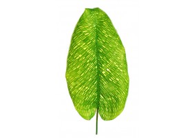 Autocollant vegetal