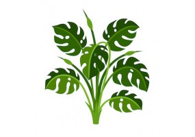 Sticker plante tropicale