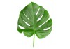 Sticker mural feuille tropicale verte