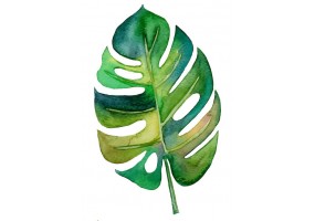 Sticker feuille palmier aquarelle